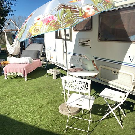 Gardencaravan Near Ghent In Green Area 外观 照片